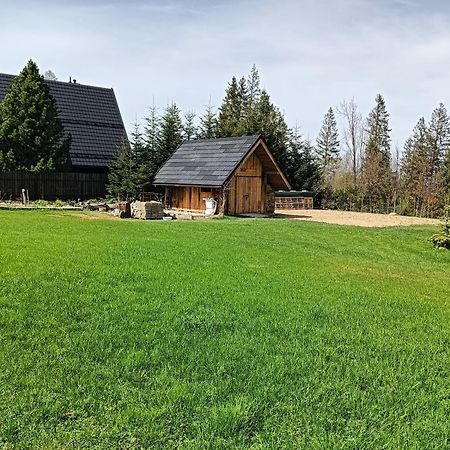 Apartament Nad Stawem Zakopane Dış mekan fotoğraf