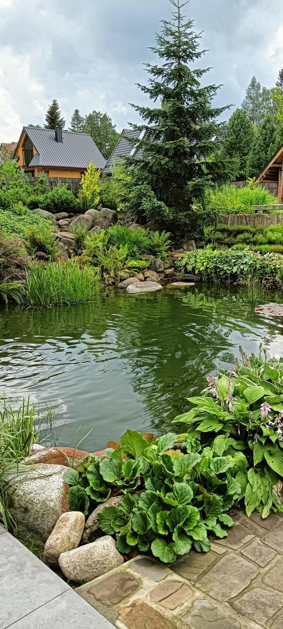 Apartament Nad Stawem Zakopane Dış mekan fotoğraf
