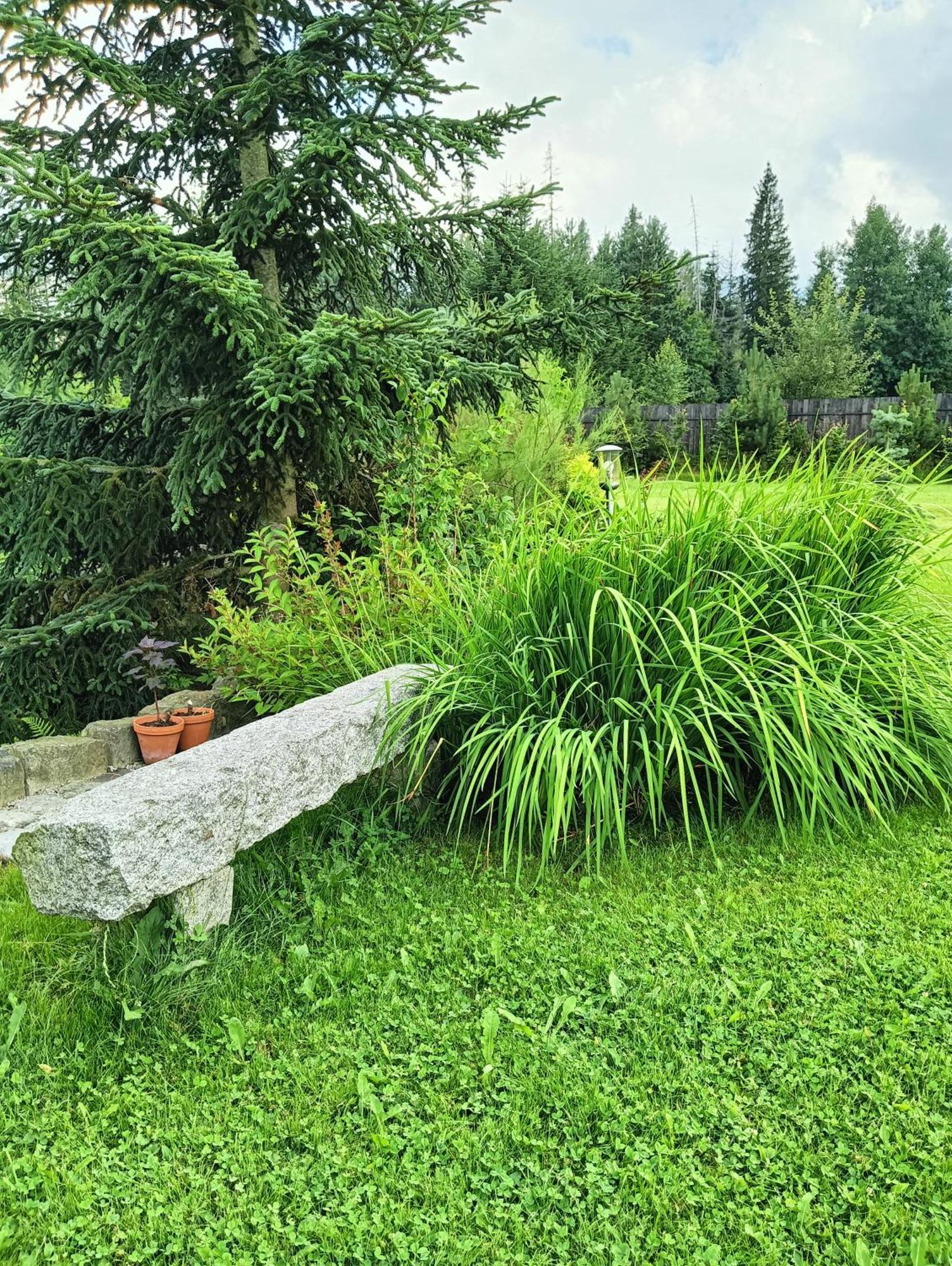 Apartament Nad Stawem Zakopane Dış mekan fotoğraf