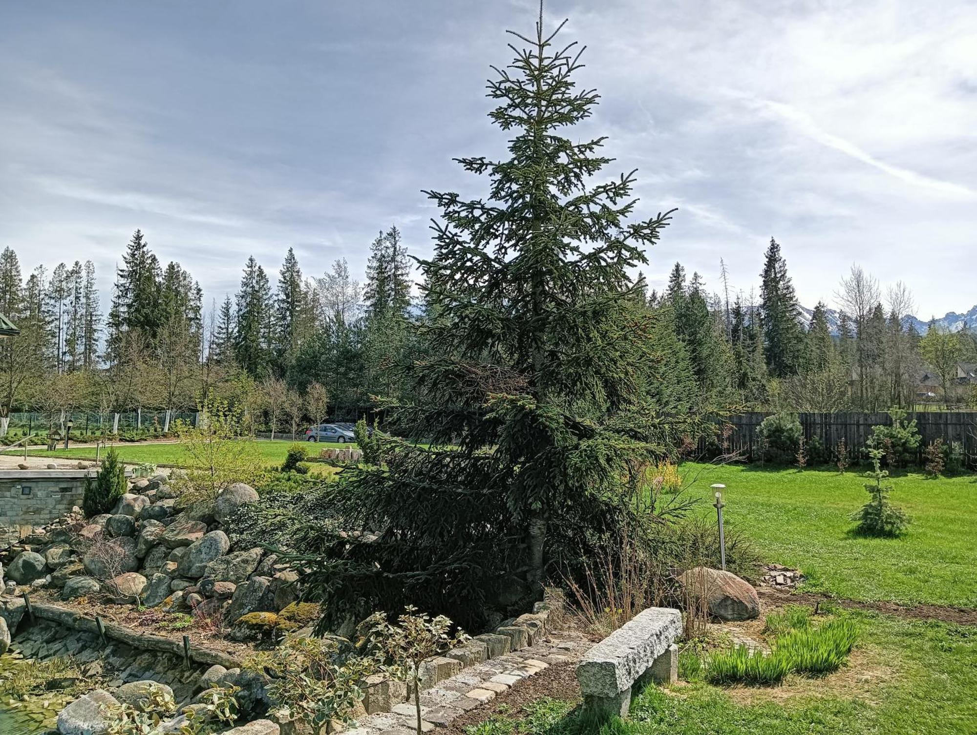Apartament Nad Stawem Zakopane Dış mekan fotoğraf