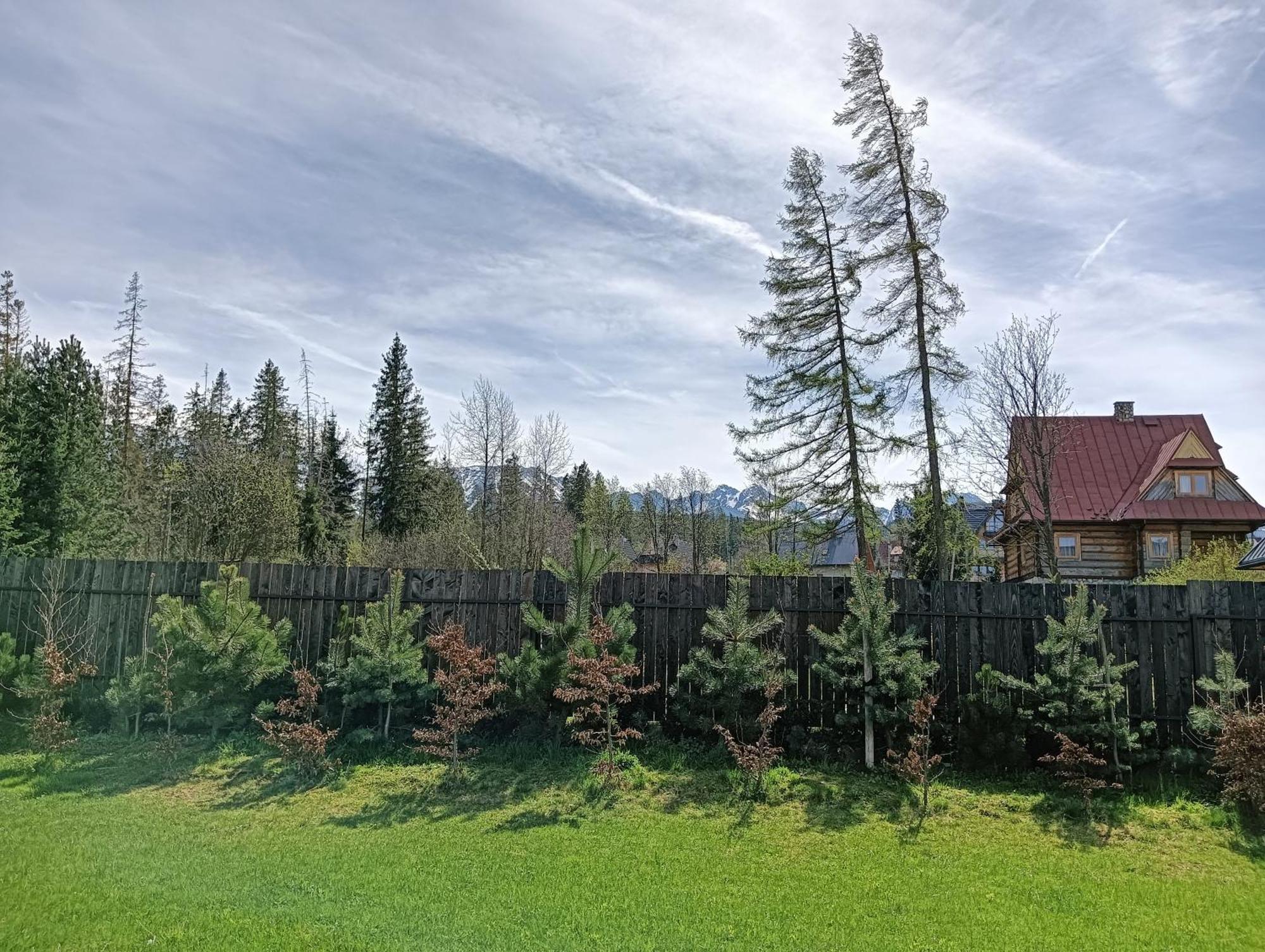 Apartament Nad Stawem Zakopane Dış mekan fotoğraf