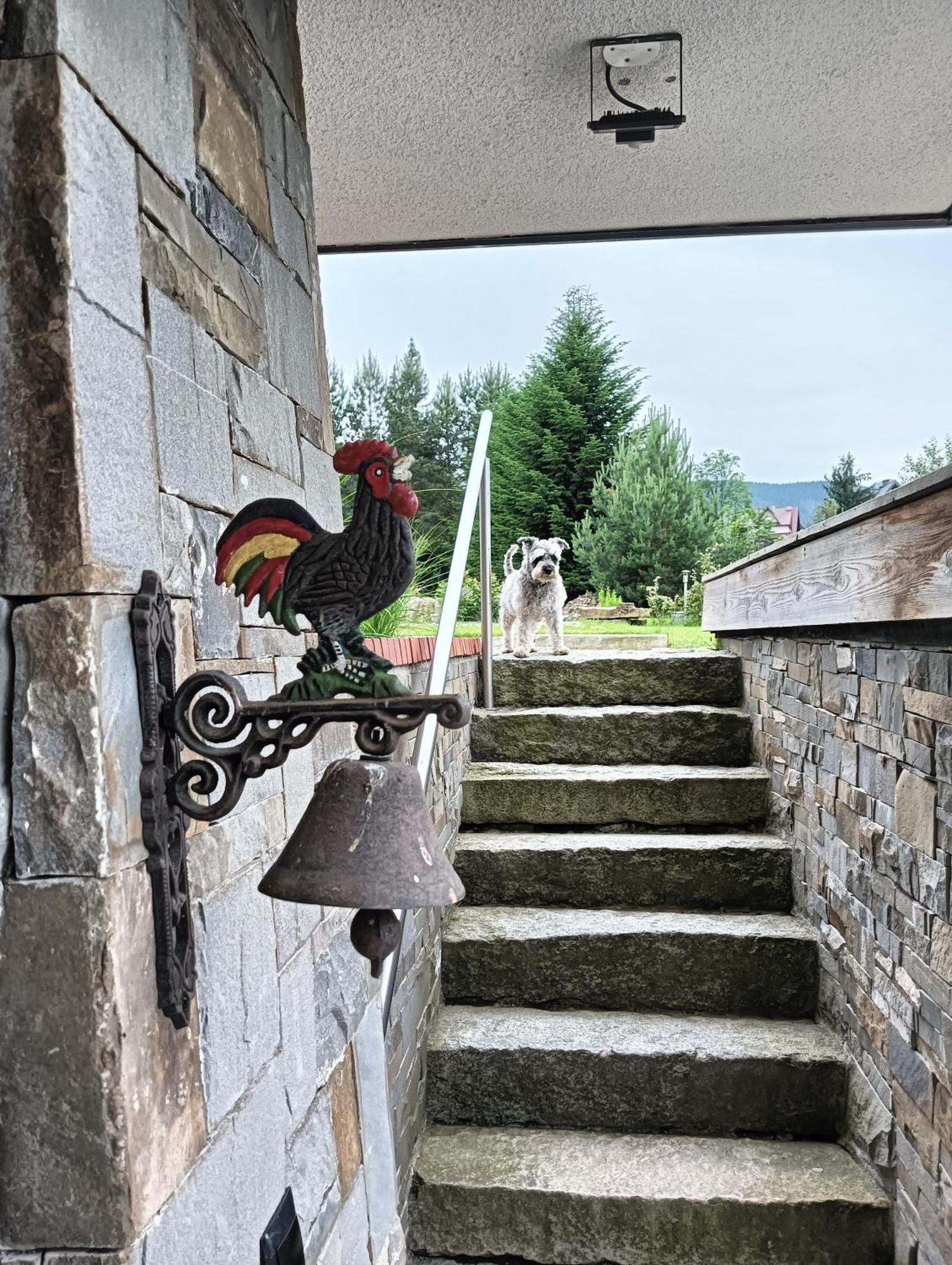Apartament Nad Stawem Zakopane Dış mekan fotoğraf
